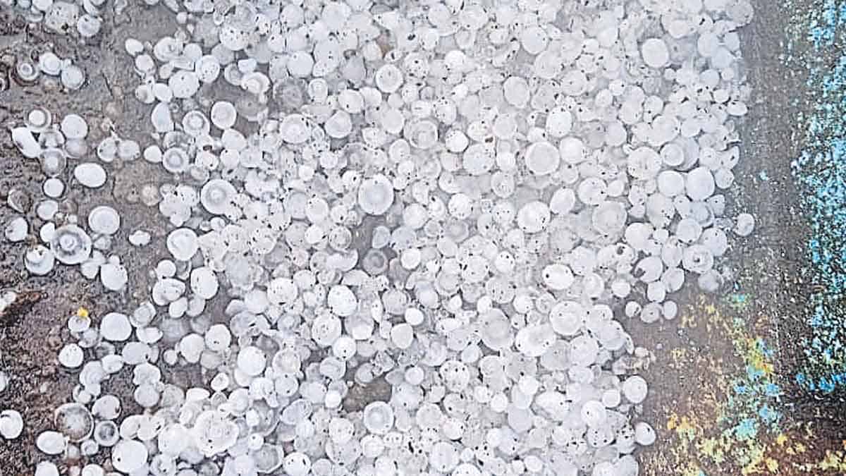 మళ్లీ తగ్గుతున్న ఉష్ణోగ్రతలు