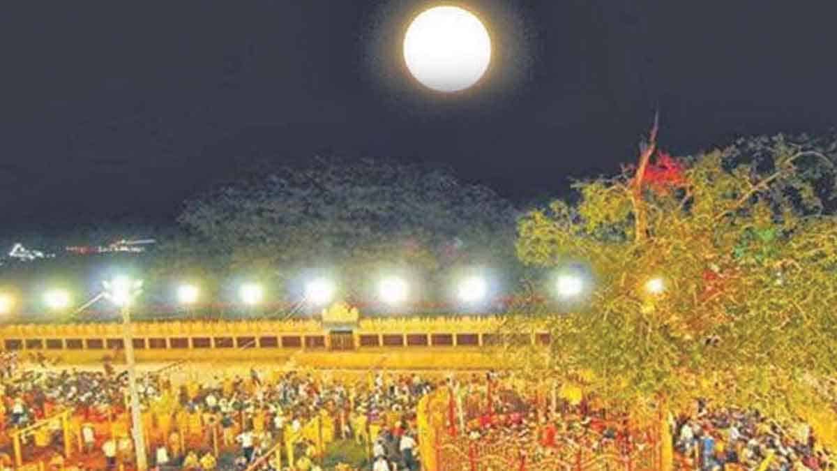 మేడారంలో భక్తుల విడిదికి తాత్కాలిక షెడ్లు