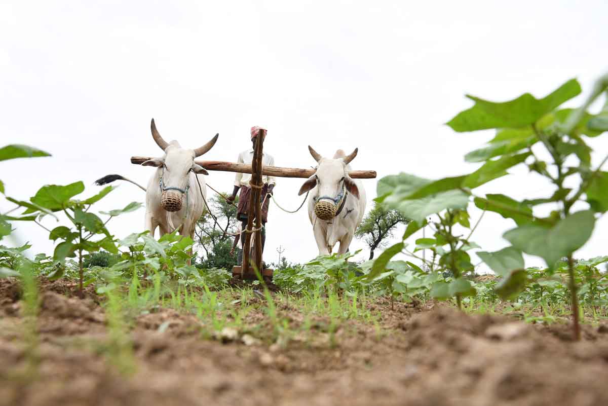 ఎనకటికే బాగుండే