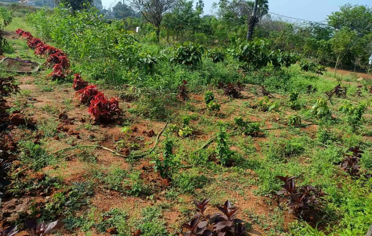 నాగిరెడ్డిపల్లి నంబర్1