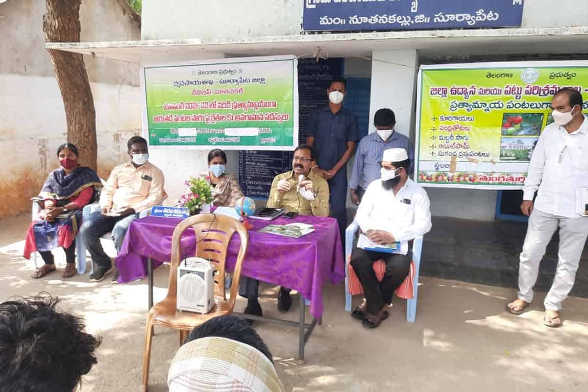 వాణిజ్య పంటలపై దృష్టి సారించాలి