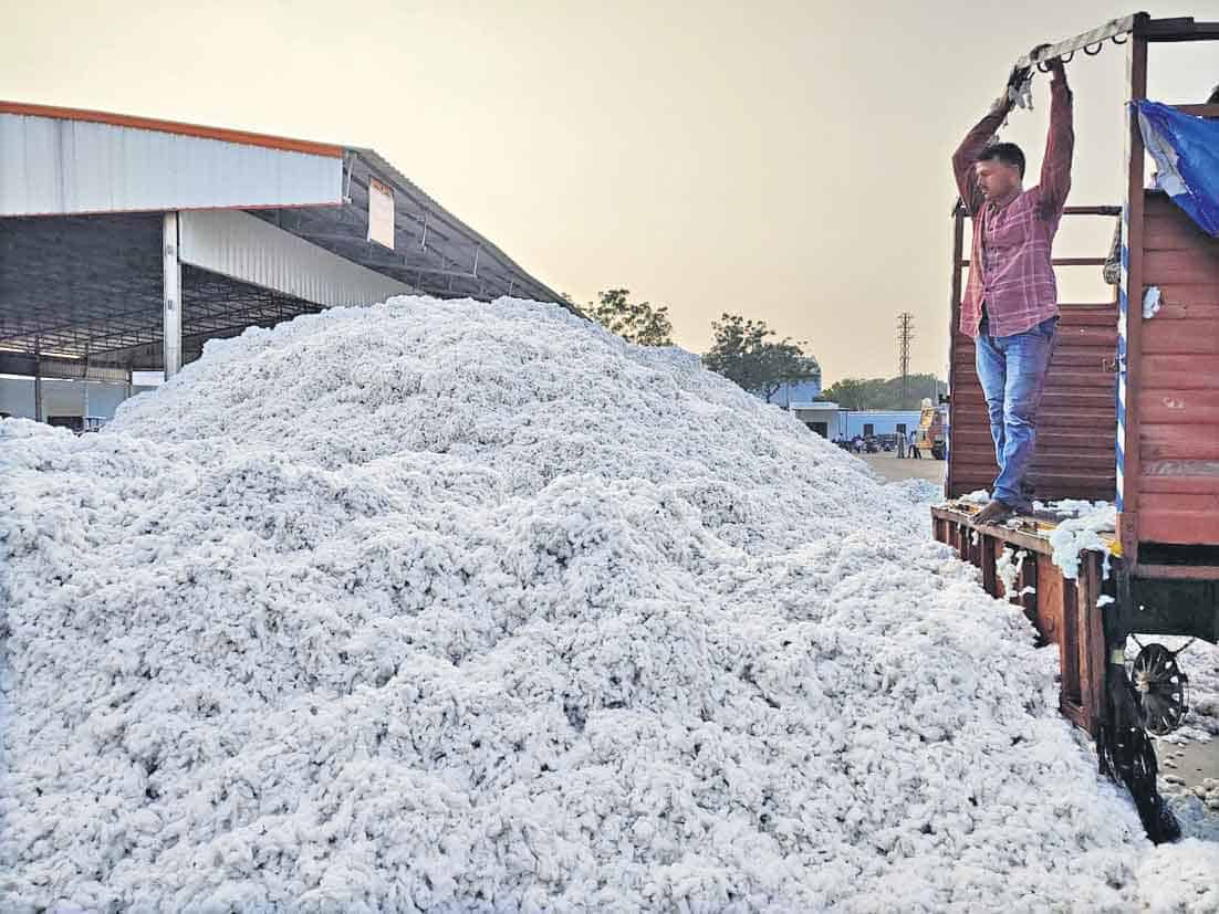 భైంసాలో క్వింటాల్‌ పత్తి రూ.8,650