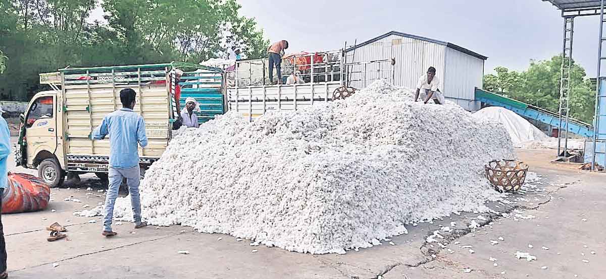 కలిసొచ్చిన సం‘పత్తి’