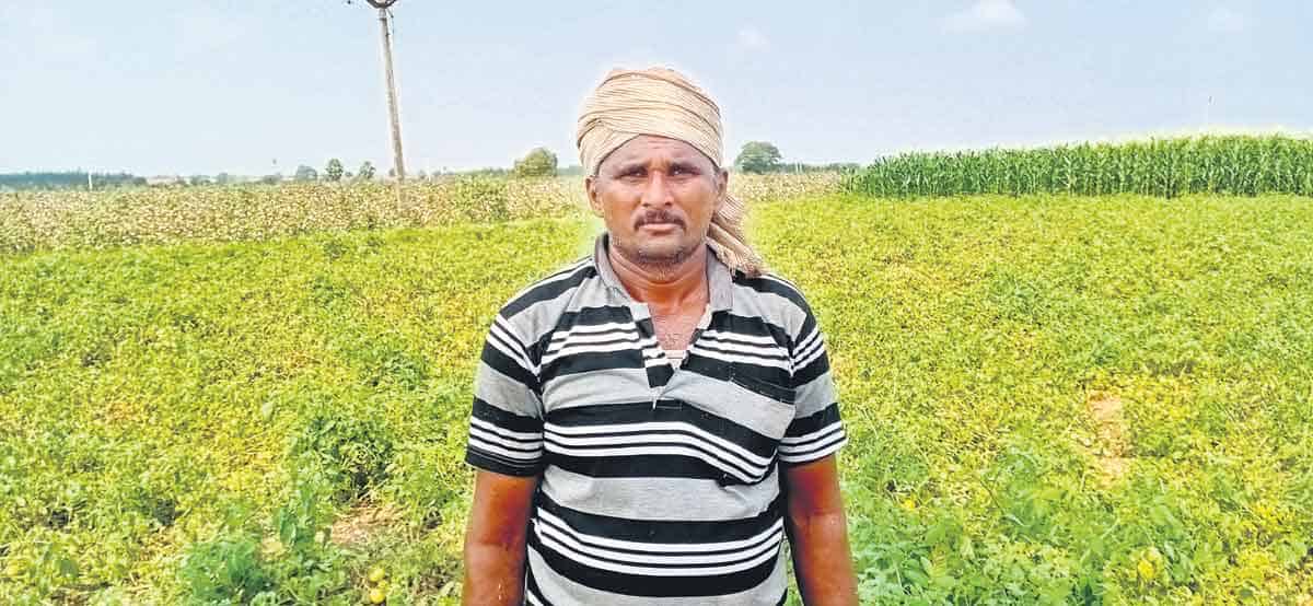 పంట మార్పిడి మొదలైంది..