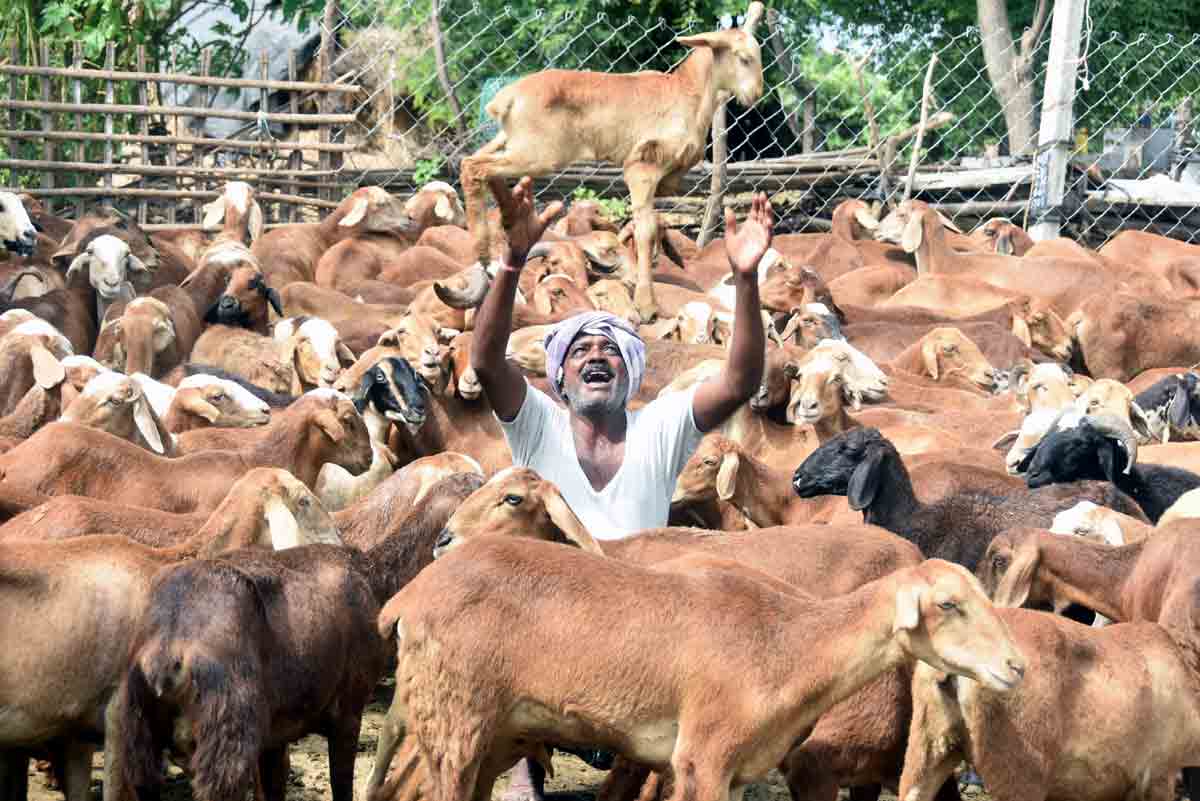 రెండో విడుత 534 యూనిట్లు