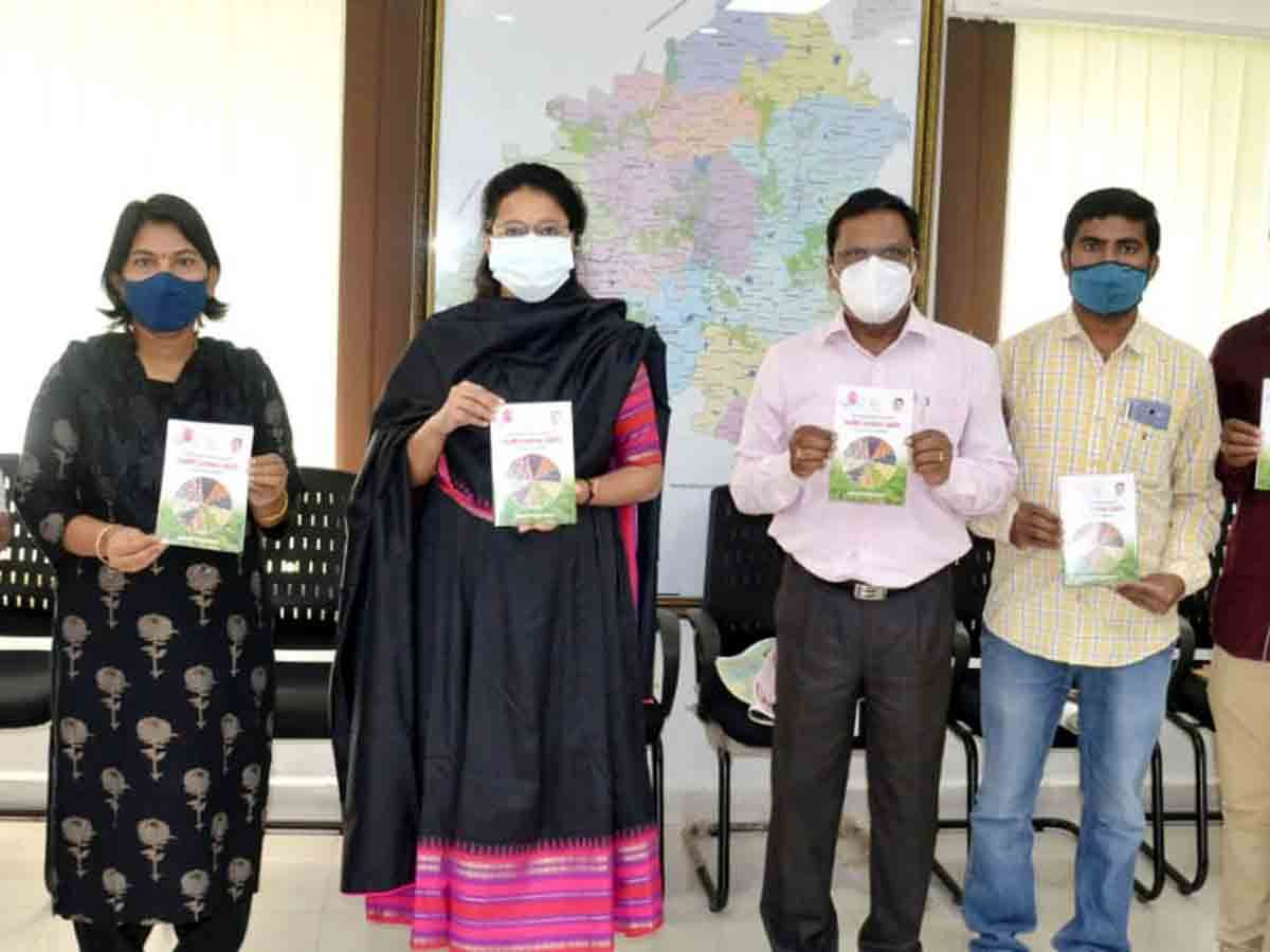 Vikarabad : వరికి బదులు ఇతర పంటలు సాగు చేయాలి.. జిల్లా కలెక్టర్‌ నిఖిల