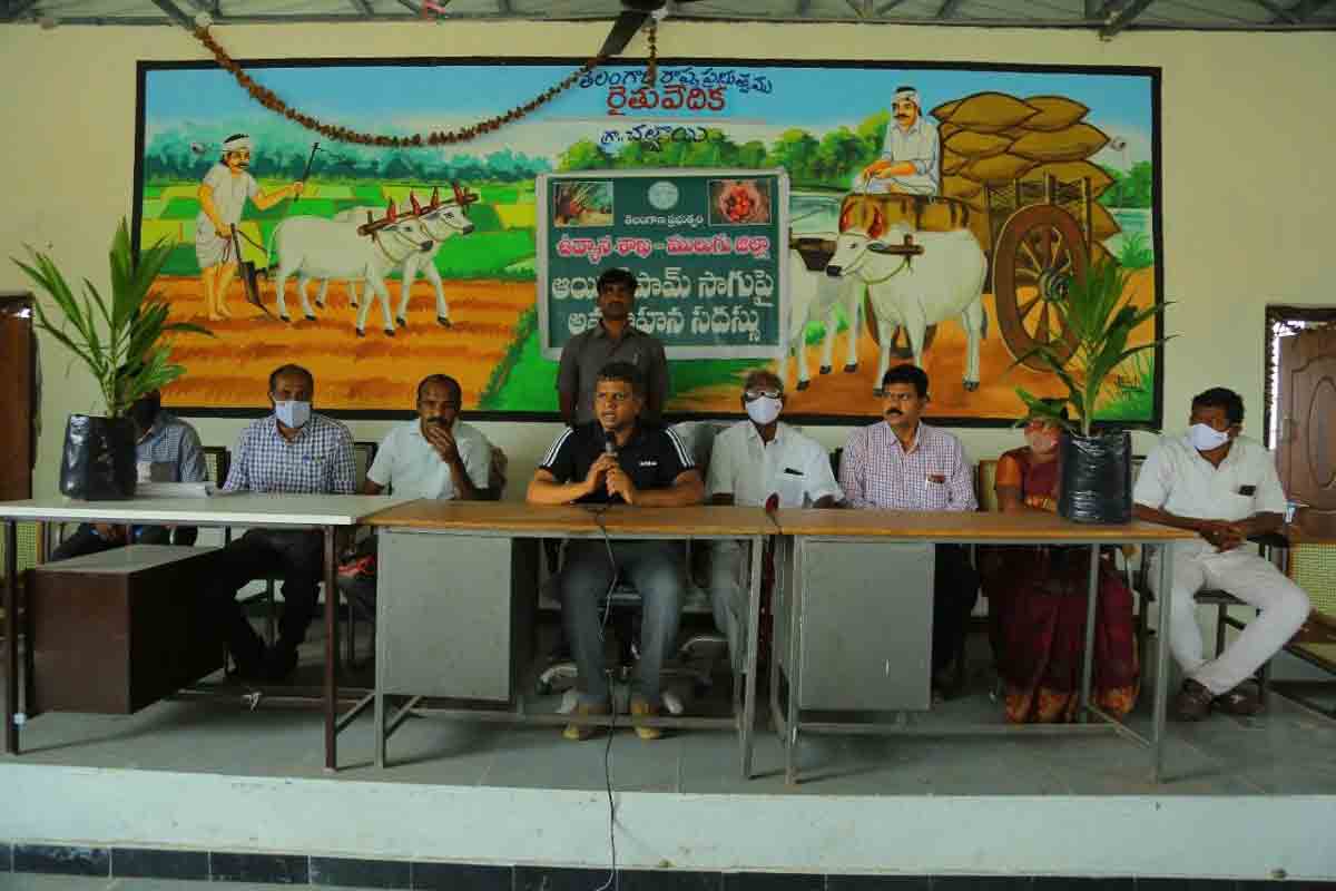 ఆయిల్‌పామ్‌ వైపు మొగ్గు చూపాలి