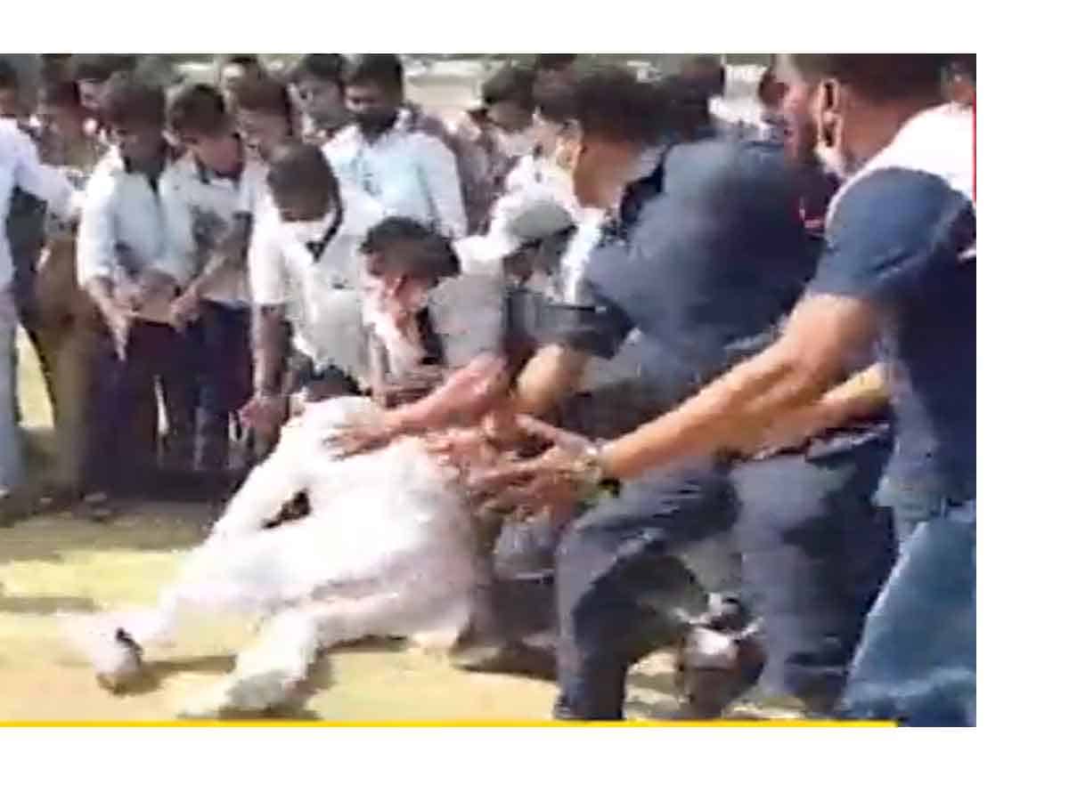 కబడ్డీ ఆడుతూ కిందపడ్డ ఏపీ స్పీకర్‌ ..