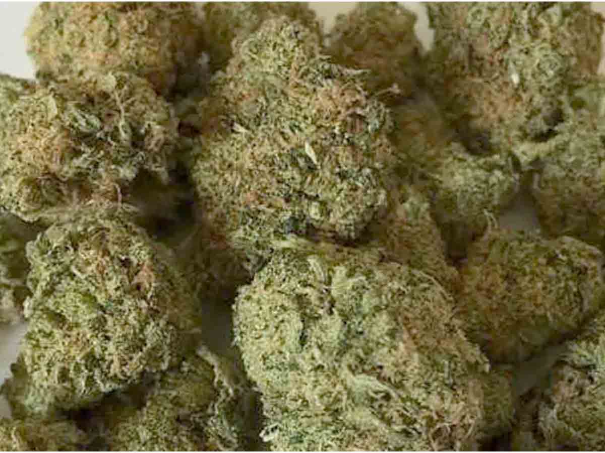 ఏపీలో 4వందల కిలోల గంజాయి స్వాధీనం..