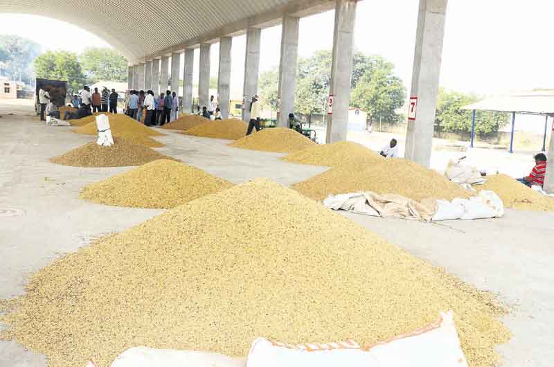 సాగు చట్టాల రద్దుతో..మార్కెట్లకు ఆమ్దాని