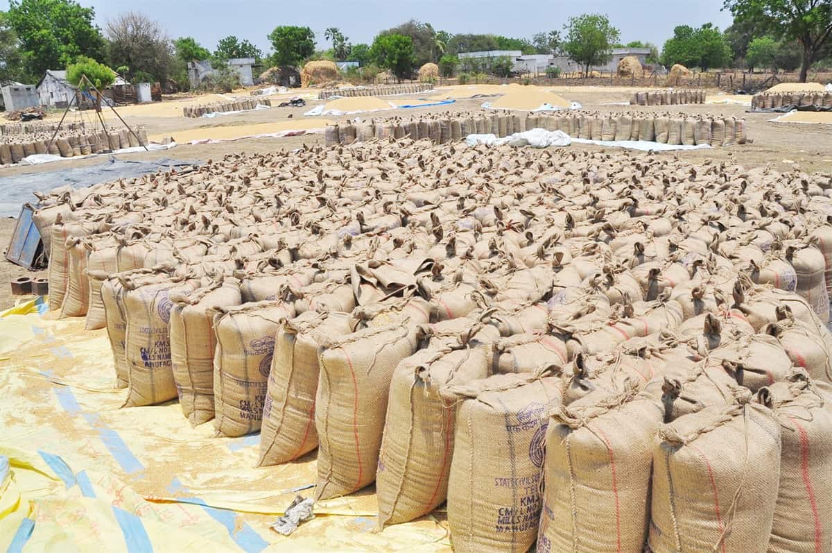 ఊరూరా వడ్ల కొనుగోళ్లు.. రైతన్నల హర్షాతిరేకాలు