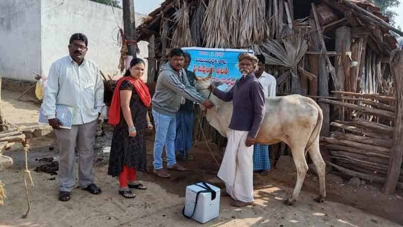 ‘పాడి’ని కాపాడుకుందాం..