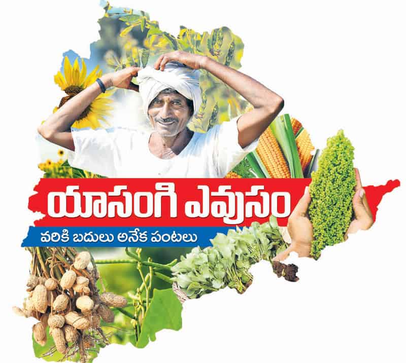 వరి వద్దు.. ఇతర పంటలే మేలు..