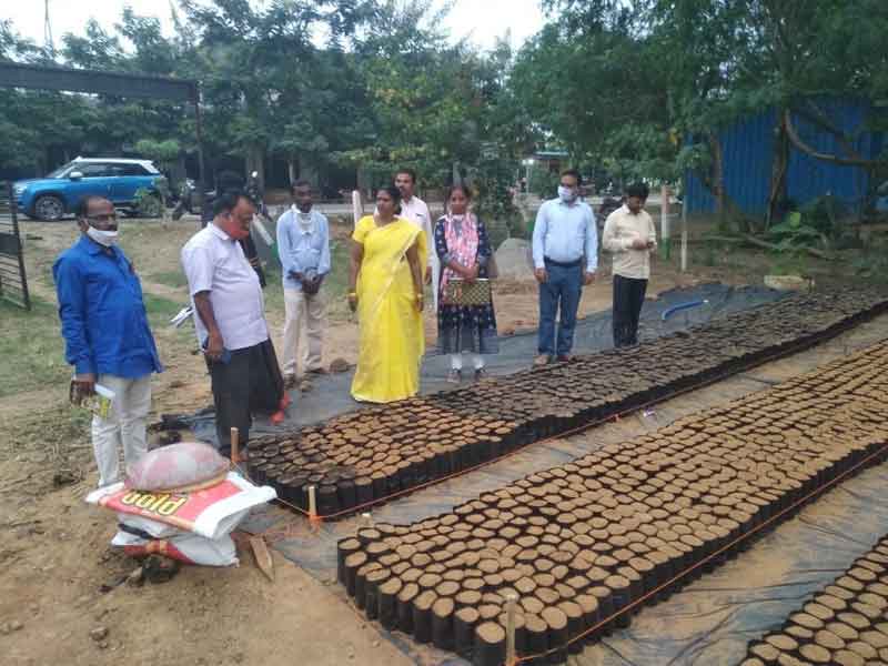 పారిశుధ్య పనులు పకడ్బందీగా నిర్వహించాలి