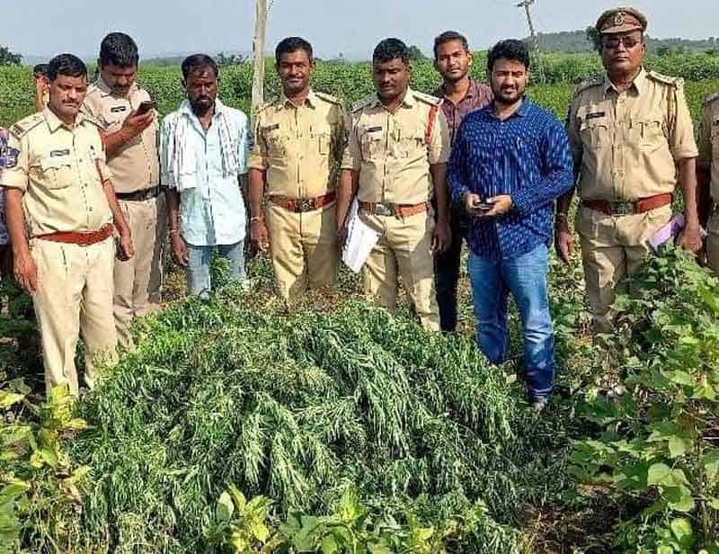 ఎక్కడికక్కడే అడ్డుకట్ట