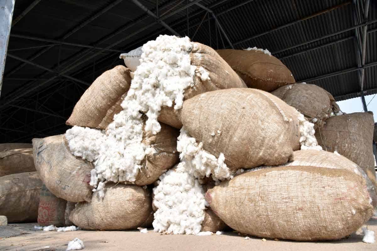 ఉమ్మడి ఆదిలాబాద్‌ జిల్లాలో రికార్డుస్థాయి ధర