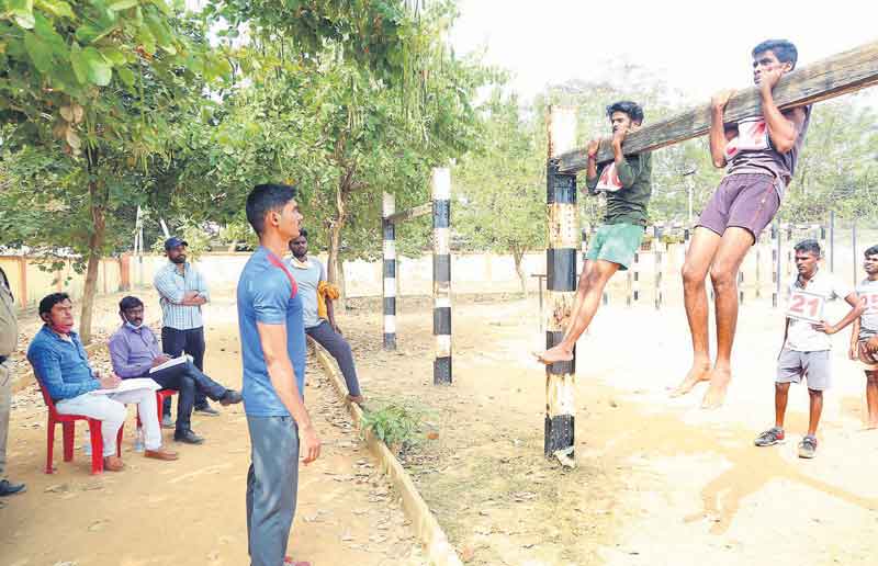 భరోసానిస్తూ.. బతుకునిస్తూ..