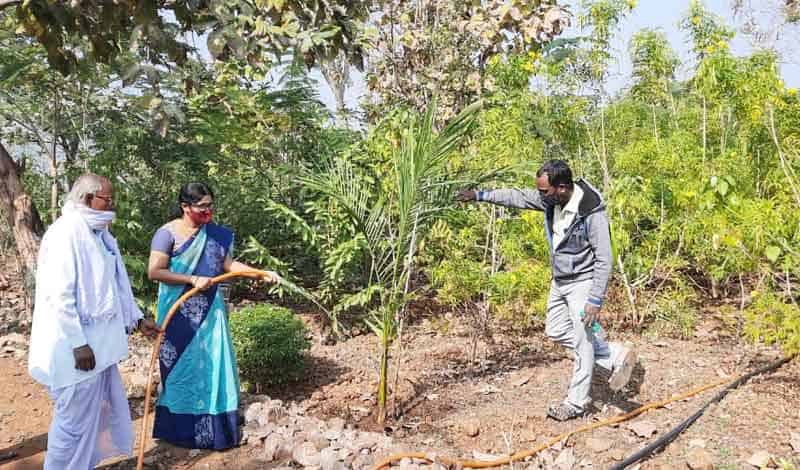 నాటిన ప్రతి మొక్కనూ కాపాడాలి