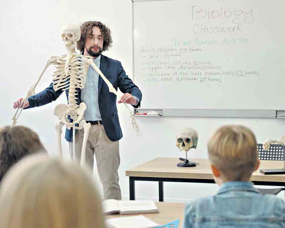 రసాయన రాయబారులు అని వేటిని అంటారు?