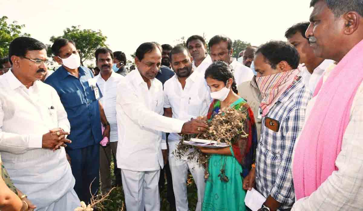 మార్కెట్లో డిమాండ్ ఉన్న పంటలే వేయాలి : సీఎం కేసీఆర్