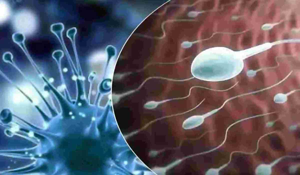 కరోనా వైర‌స్‌తో తగ్గుతున్న వీర్య కణాలు!