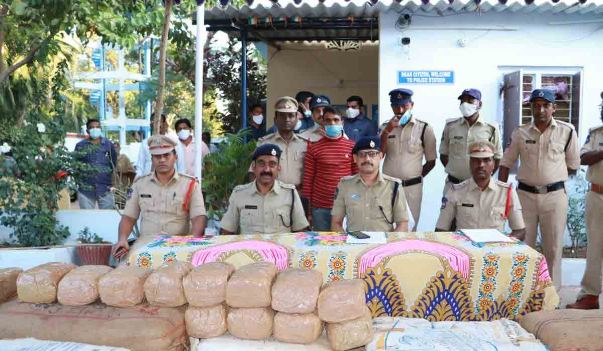 Crime News | 1.65 కోట్ల రూపాయల విలువైన గంజాయి పట్టి వేత
