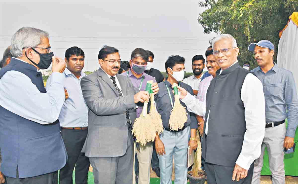అగ్రి వర్సిటీని సందర్శించిన నాబార్డ్ చైర్మన్