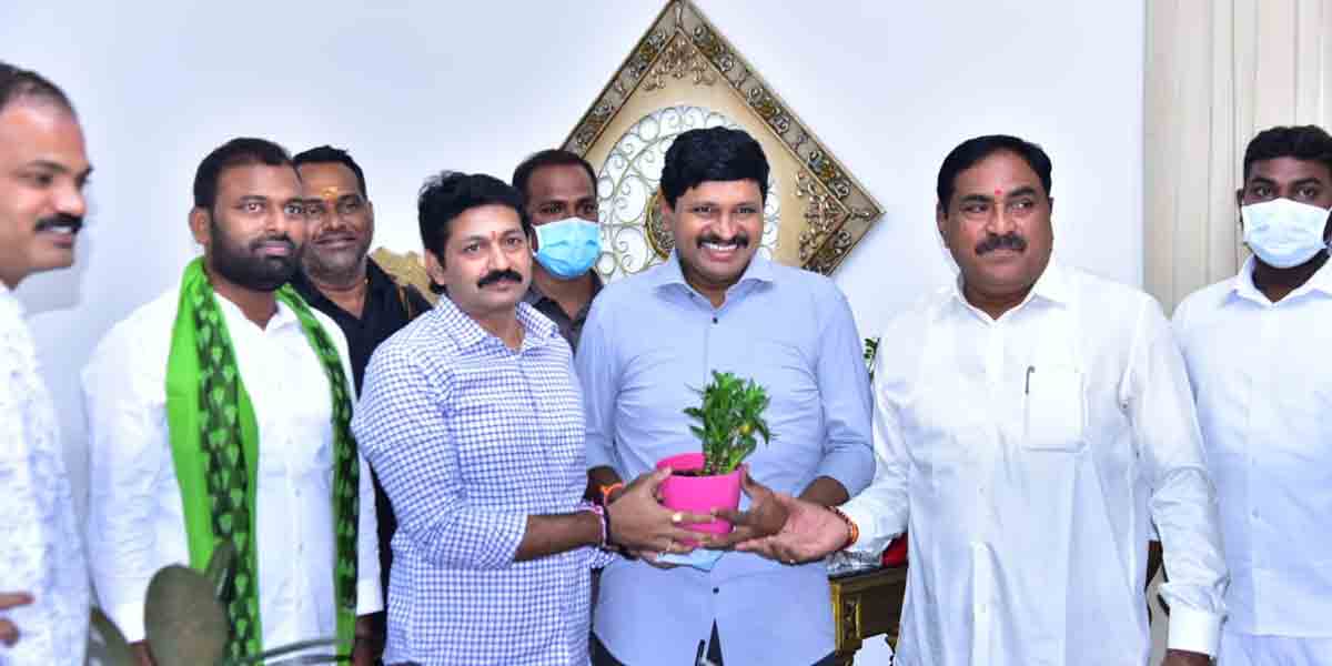 ఎంపీ సంతోష్‌ కుమార్‌కు శుభాకాంక్షలు తెలిపిన మంత్రులు