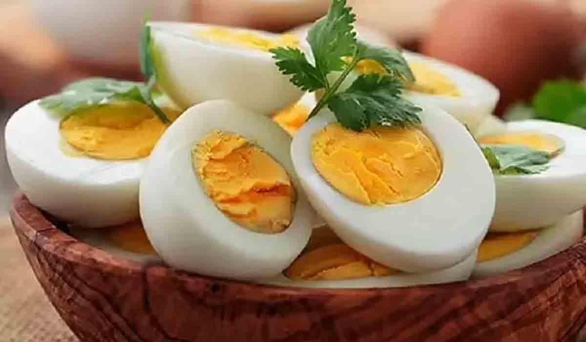 రోజూ గుడ్డు తిన్నారో ఇక అంతే సంగ‌తి.. ప‌రిశోధ‌కుల హెచ్చ‌రిక‌..!