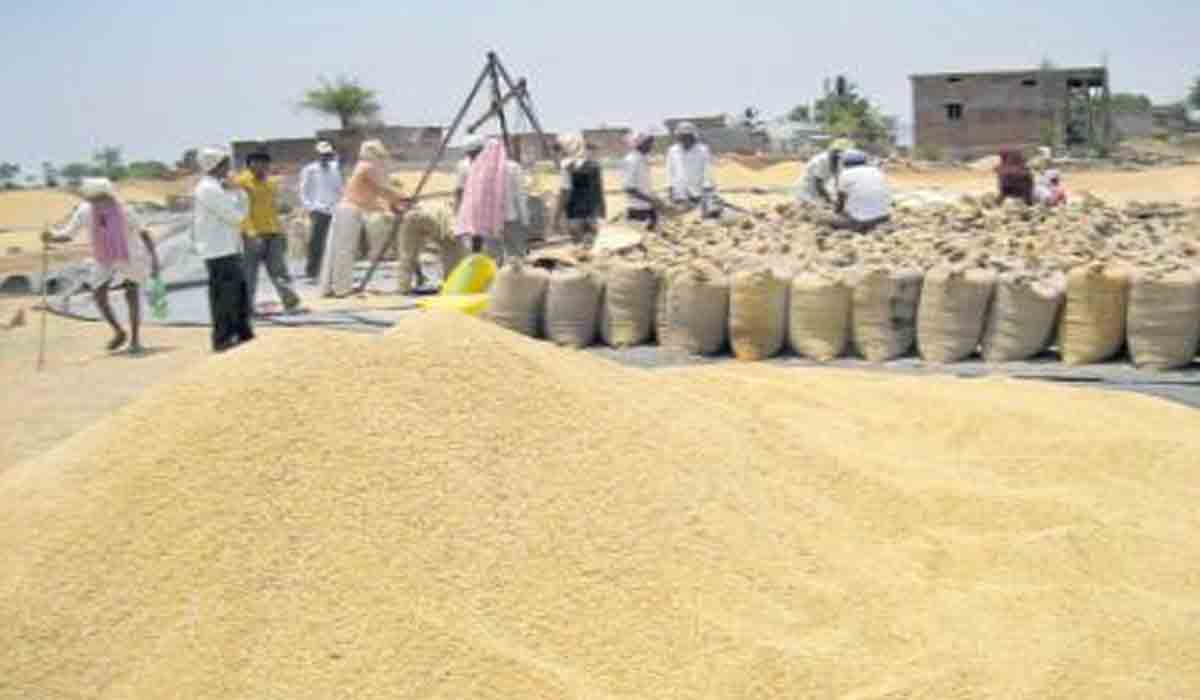 ఇప్ప‌టివ‌ర‌కు 5.58లక్షల మెట్రిక్‌ టన్నుల ధాన్యం కొనుగోలు