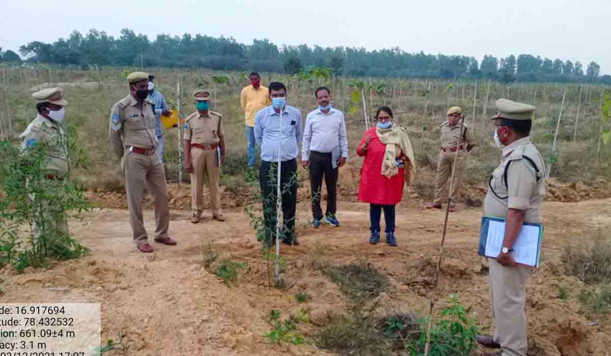 అట‌వీ పున‌రుజ్జీవ‌న ప‌నుల‌తో పెరుగుతున్న ప‌చ్చ‌ద‌నం