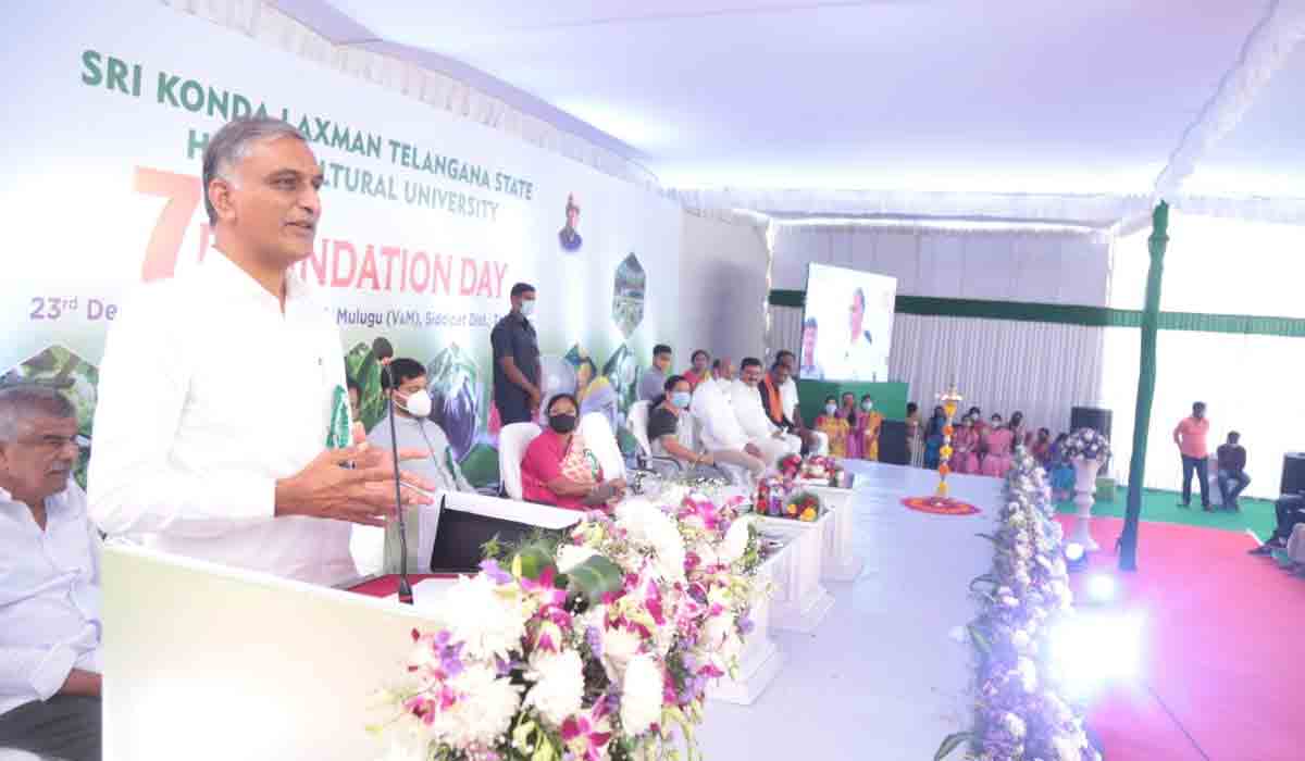 డిమాండ్ ఉన్న పంట‌ల‌ను ప్రోత్స‌హించాలి : మంత్రి హ‌రీశ్‌రావు