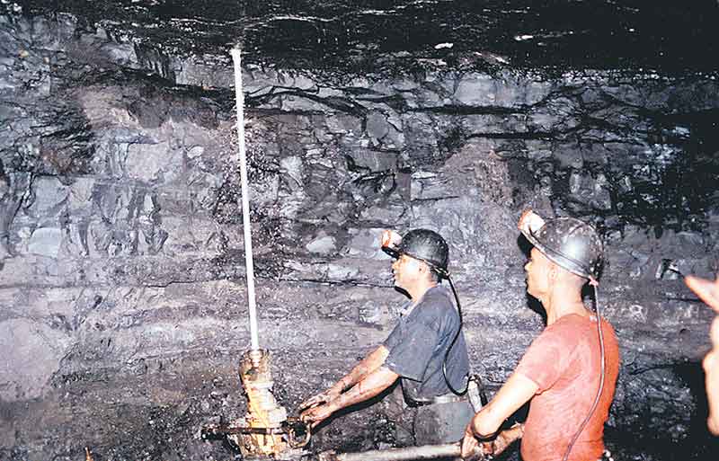 వెలుగుల పురిటిగడ్డ..బొగ్గుట్ట!