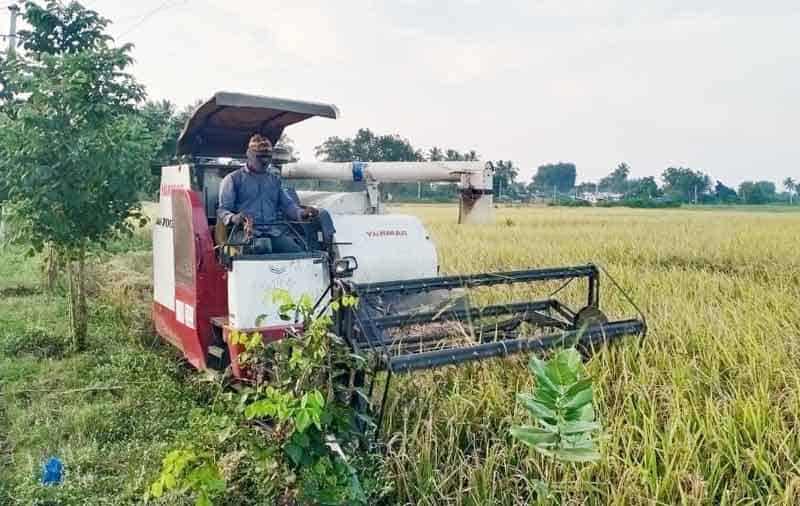 వరి వద్దు.. ఇతర పంటలే మేలు