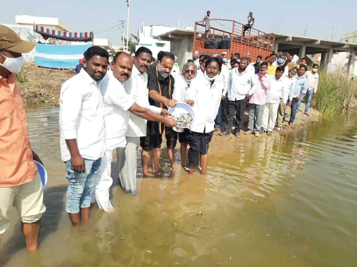 మత్స్యకారులకు ప్రభుత్వం చేయూత