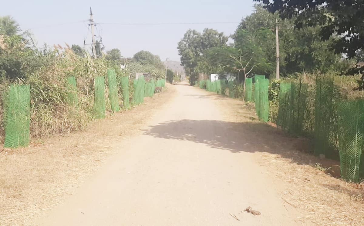 బీటీ రోడ్ల నిర్మాణానికి శ్రీకారం