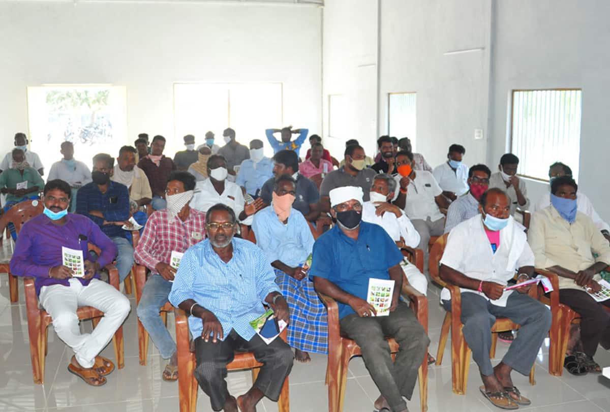 ‘ఆరుతడి’తో అధిక ఆదాయం