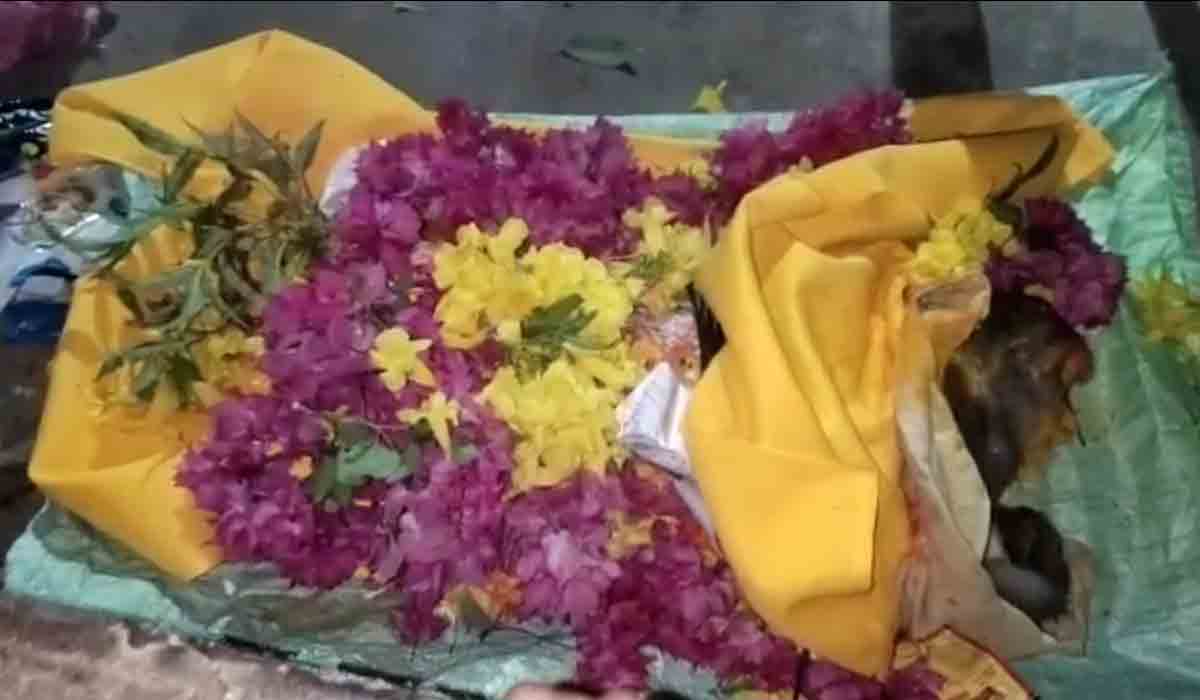 కొండెంగ‌కు అంత్య‌క్రియ‌లు.. ట్రాక్ట‌ర్‌లో ఊరంతా ఊరేగింపు