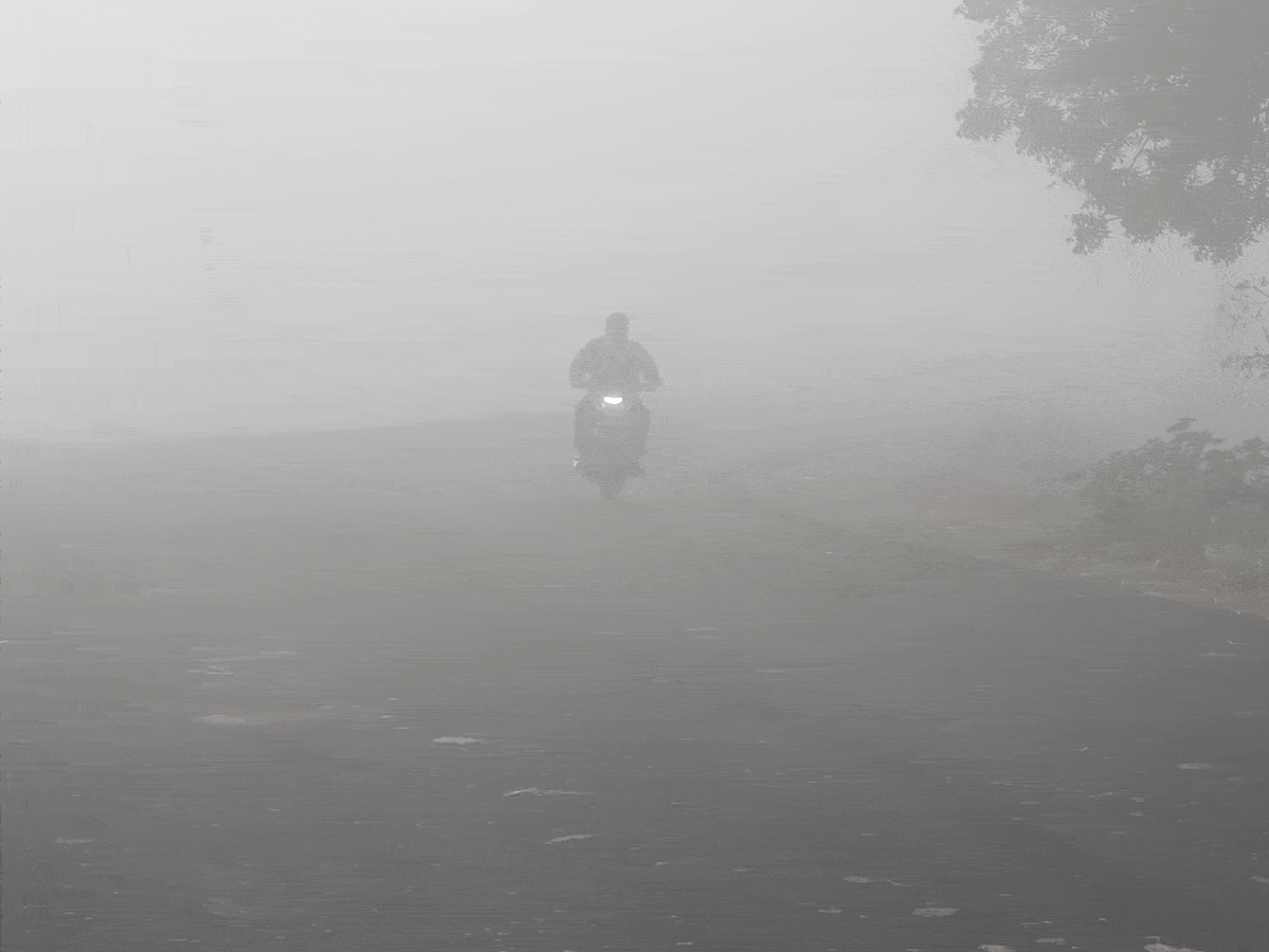 Bhadradri | మంచు గుప్పిట్లో సుజాతనగర్..