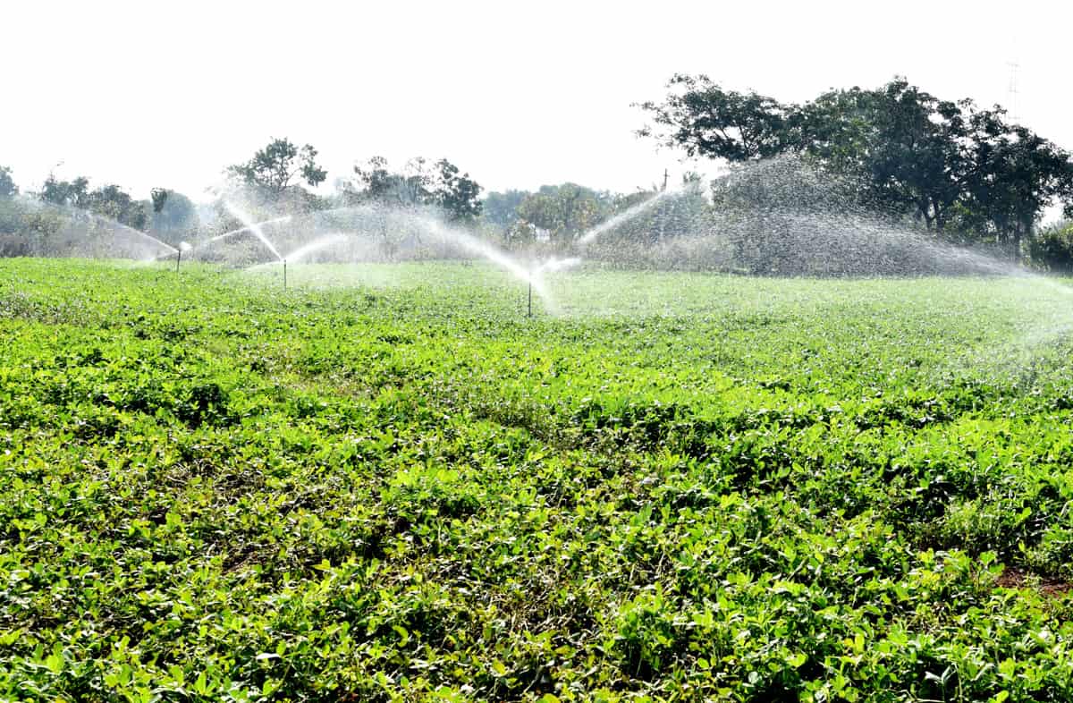 ఆదర్శంగా నిలుస్తున్న భూత్పూరు రైతులు