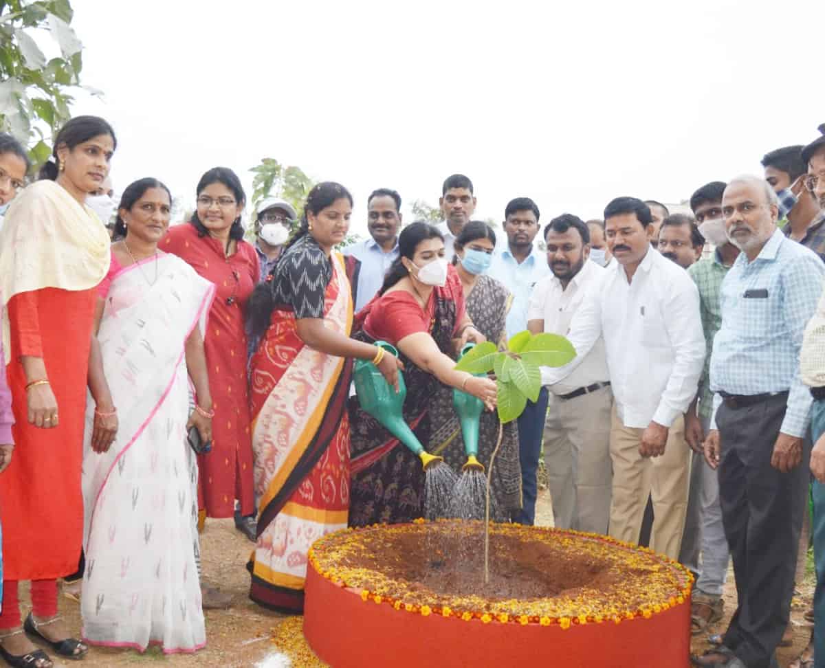 పీయూను పచ్చదనంగా తీర్చిదిద్దాలి
