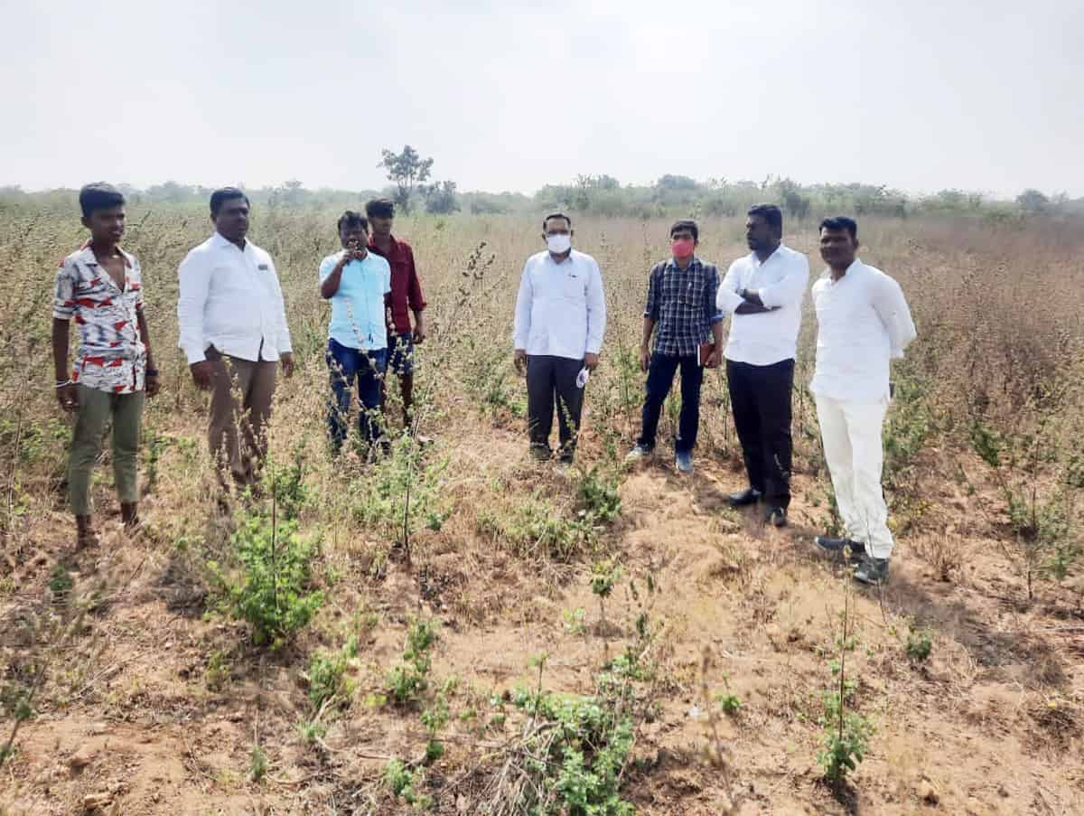 వనపర్తికి సీఎం కేసీఆర్‌