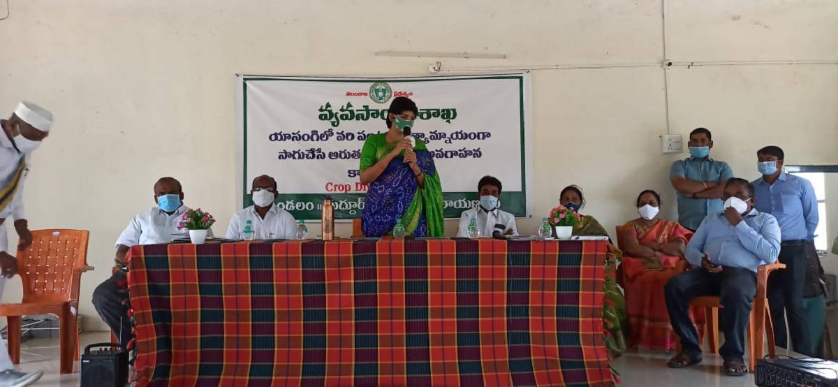 పంట మార్పిడితో అధిక లాభాలు