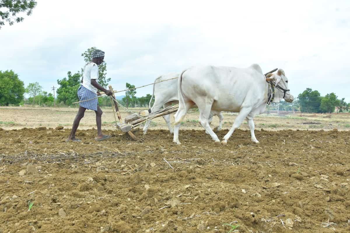 రేపటి నుంచి రైతుబంధు