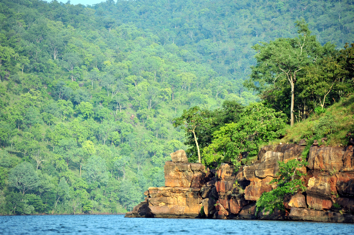 నల్లమలలో సఫారీ