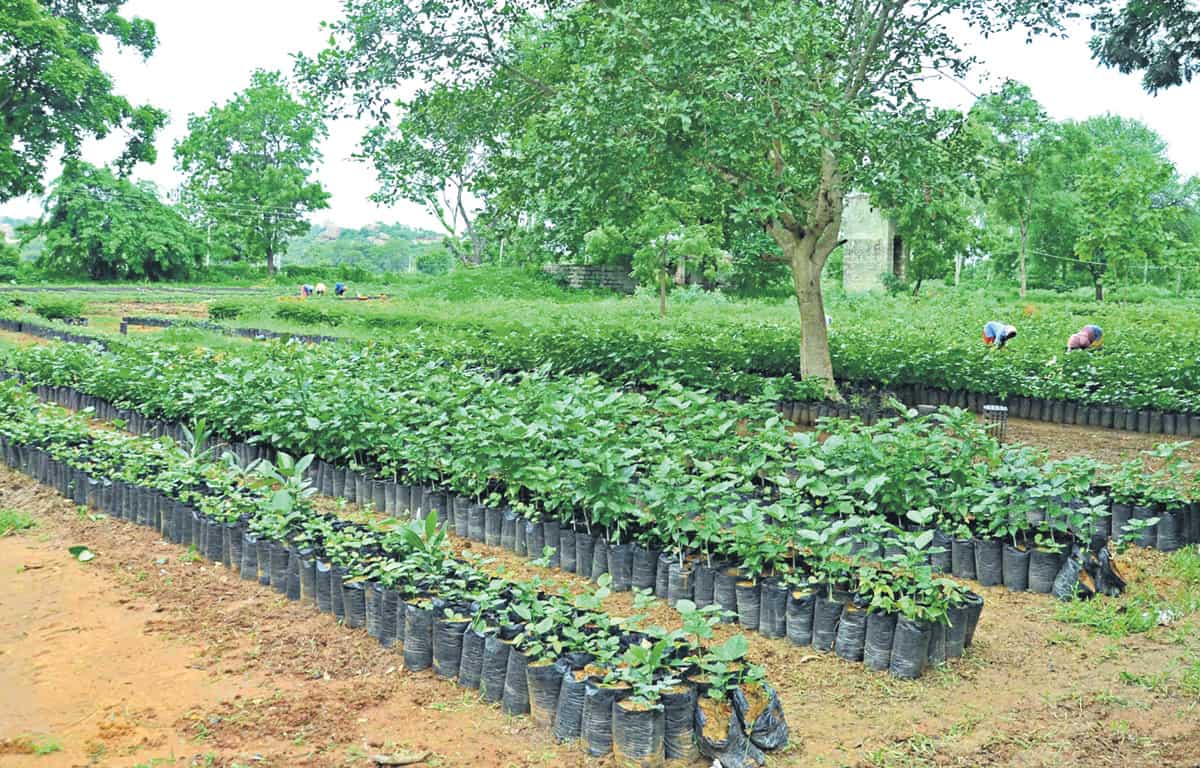 ఎనిమిదో విడతకు సన్నద్ధం