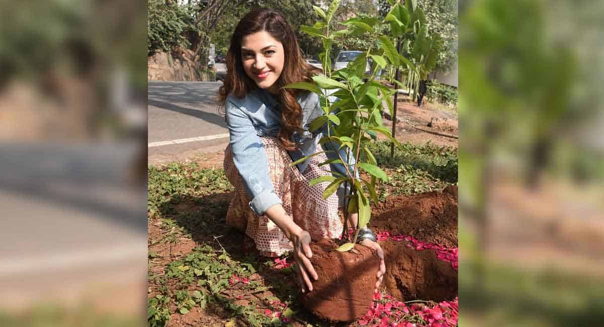గ్రీన్ ఇండియా ఛాలెంజ్‌లో భాగంగా మొక్కలు నాటిన మెహ్రీన్