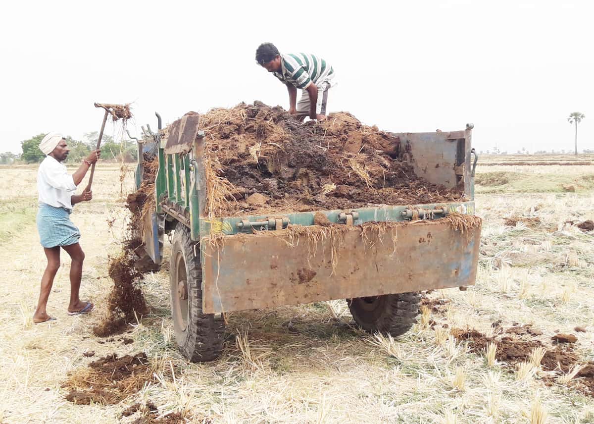 సాగు మంత్రం.. సేంద్రియం