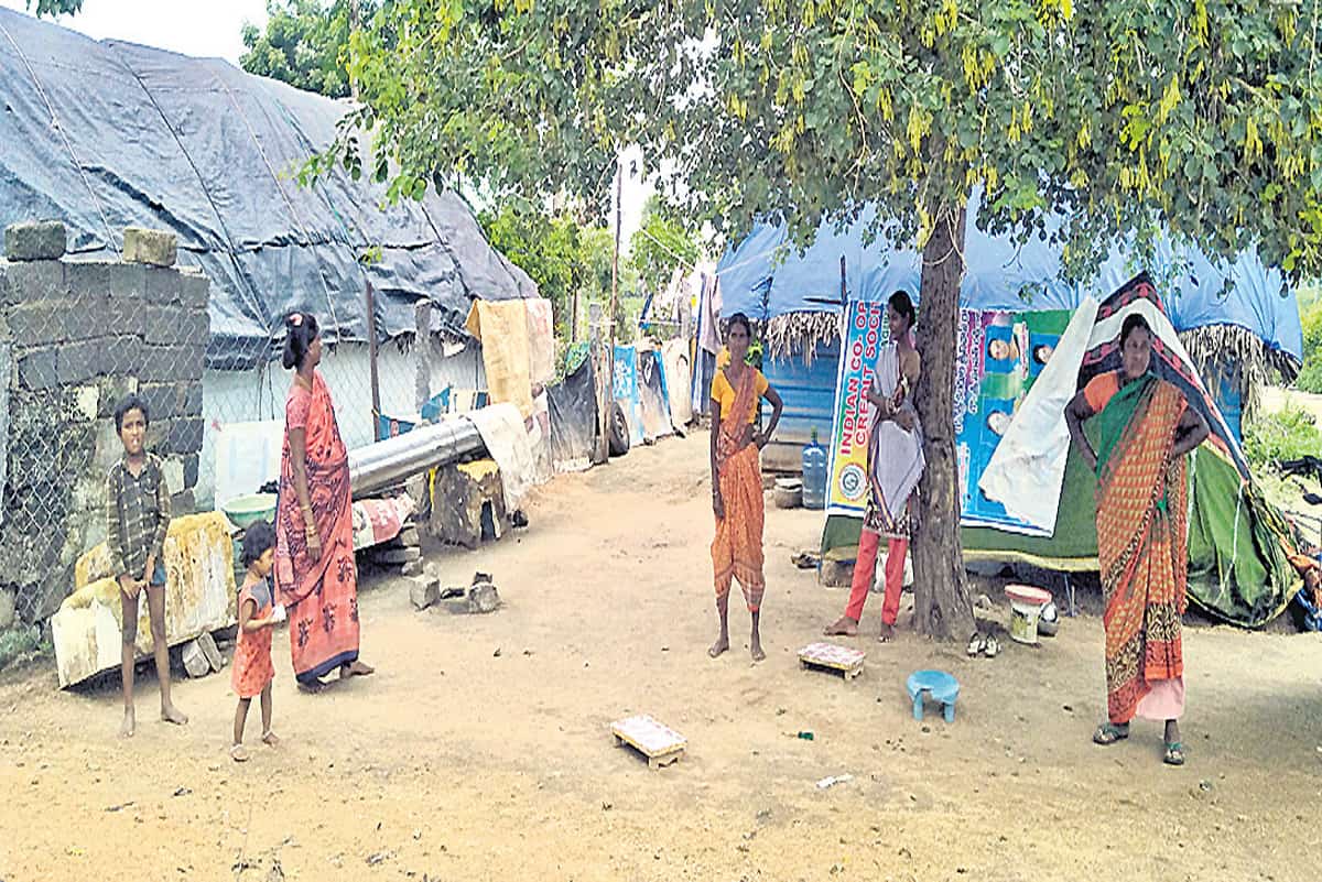 దళితబంధుకు 50 కోట్లు