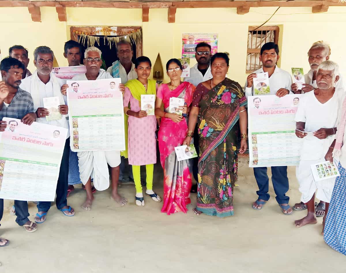 యాసంగిలో ఆరుతడి పంటలు సాగుచేయాలి